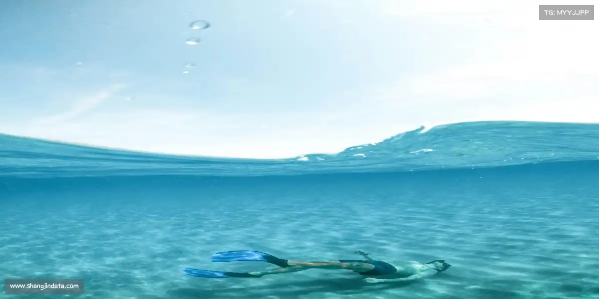 赏金女王官网——十项全能,冠绝群雄!